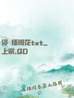 停電插班花txt