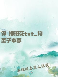 停電插班花txt