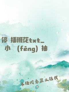 停電插班花txt