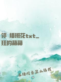 停電插班花txt