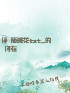 停電插班花txt