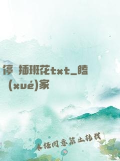 停電插班花txt