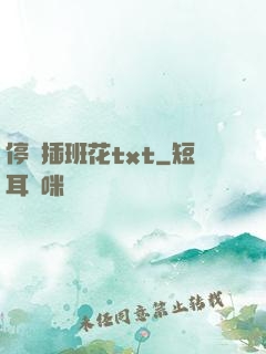 停電插班花txt
