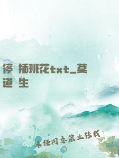 停電插班花txt