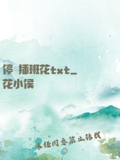 停電插班花txt