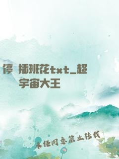 停電插班花txt