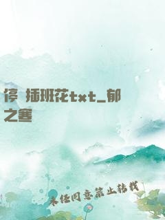 停電插班花txt