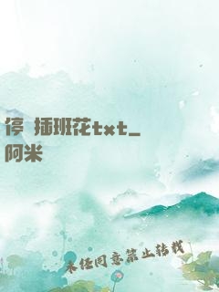 停電插班花txt