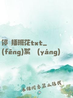 停電插班花txt