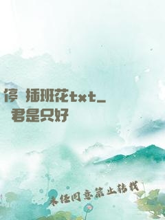 停電插班花txt