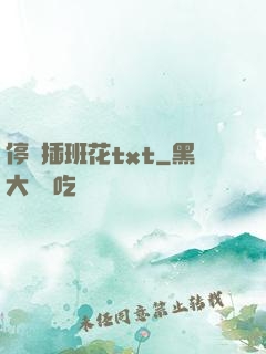 停電插班花txt