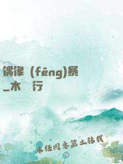 偶像風(fēng)暴