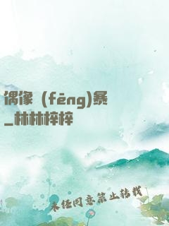 偶像風(fēng)暴