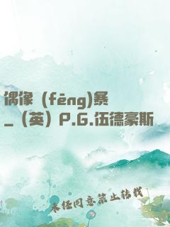 偶像風(fēng)暴