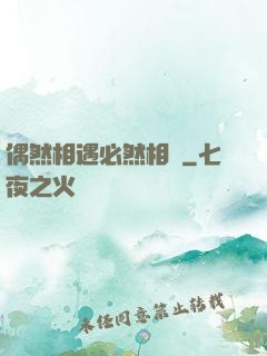 偶然相遇必然相愛
