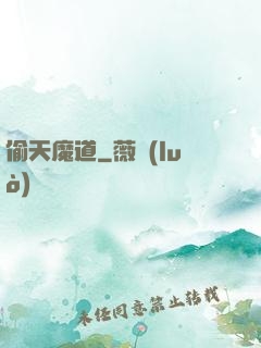 偷天魔道