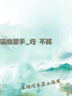 偷心圣手
