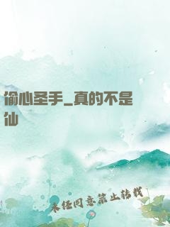 偷心圣手
