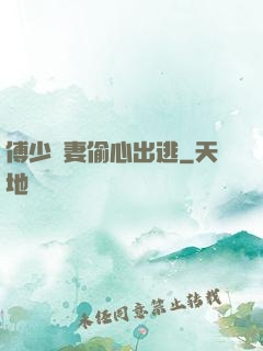傅少嬌妻偷心出逃