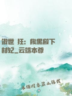 傲世鳳狂：腹黑殿下廢材妃