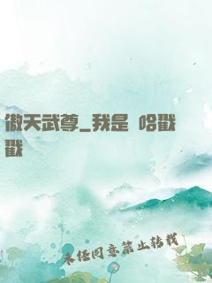 傲天武尊