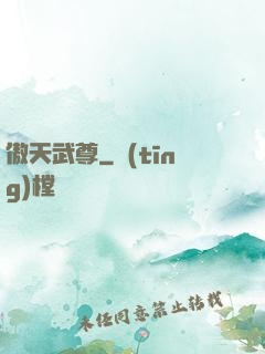 傲天武尊
