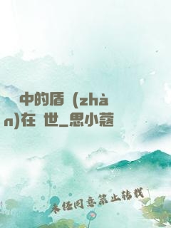 傳說中的盾戰(zhàn)在異世
