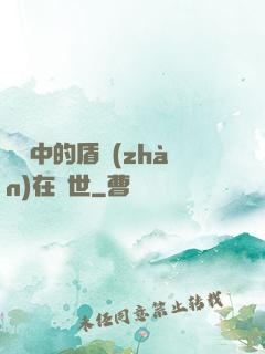 傳說中的盾戰(zhàn)在異世
