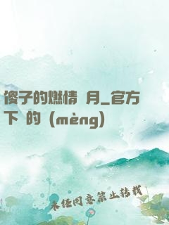 傻子的燃情歲月