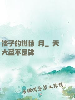 傻子的燃情歲月