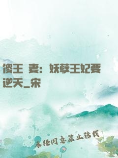 傻王寵妻：妖孽王妃要逆天