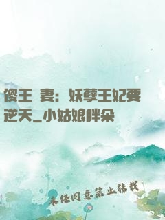 傻王寵妻：妖孽王妃要逆天