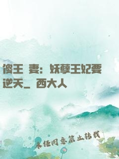 傻王寵妻：妖孽王妃要逆天