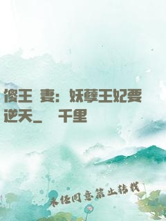 傻王寵妻：妖孽王妃要逆天