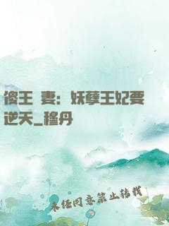 傻王寵妻：妖孽王妃要逆天