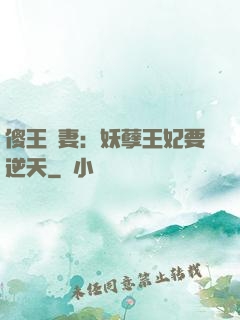 傻王寵妻：妖孽王妃要逆天