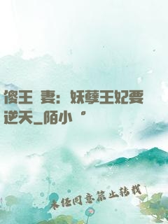 傻王寵妻：妖孽王妃要逆天
