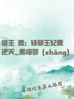 傻王寵妻：妖孽王妃要逆天