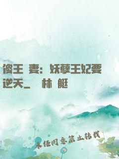 傻王寵妻：妖孽王妃要逆天