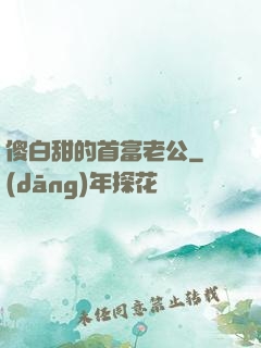 傻白甜的首富老公