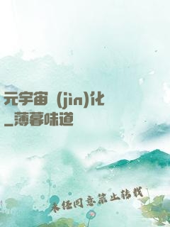 元宇宙進(jìn)化