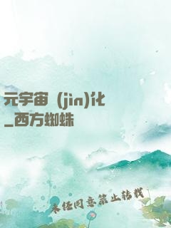 元宇宙進(jìn)化