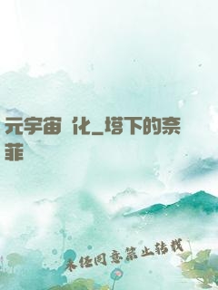 元宇宙進化
