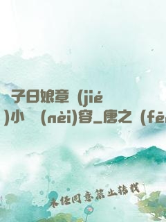 兒子日娘章節(jié)小說內(nèi)容