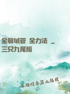 全敏城管與全力法師
