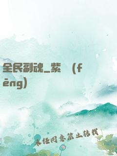 全民副魂