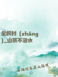 全民村長(zhǎng)