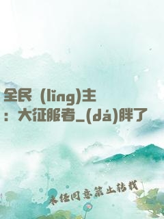 全民領(lǐng)主：大征服者