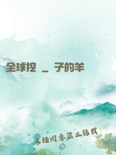 全球挖寶