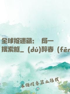 全球捉迷藏：開局一個搜索框